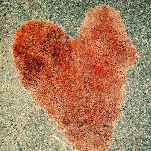 Meet your Posher, Elyse